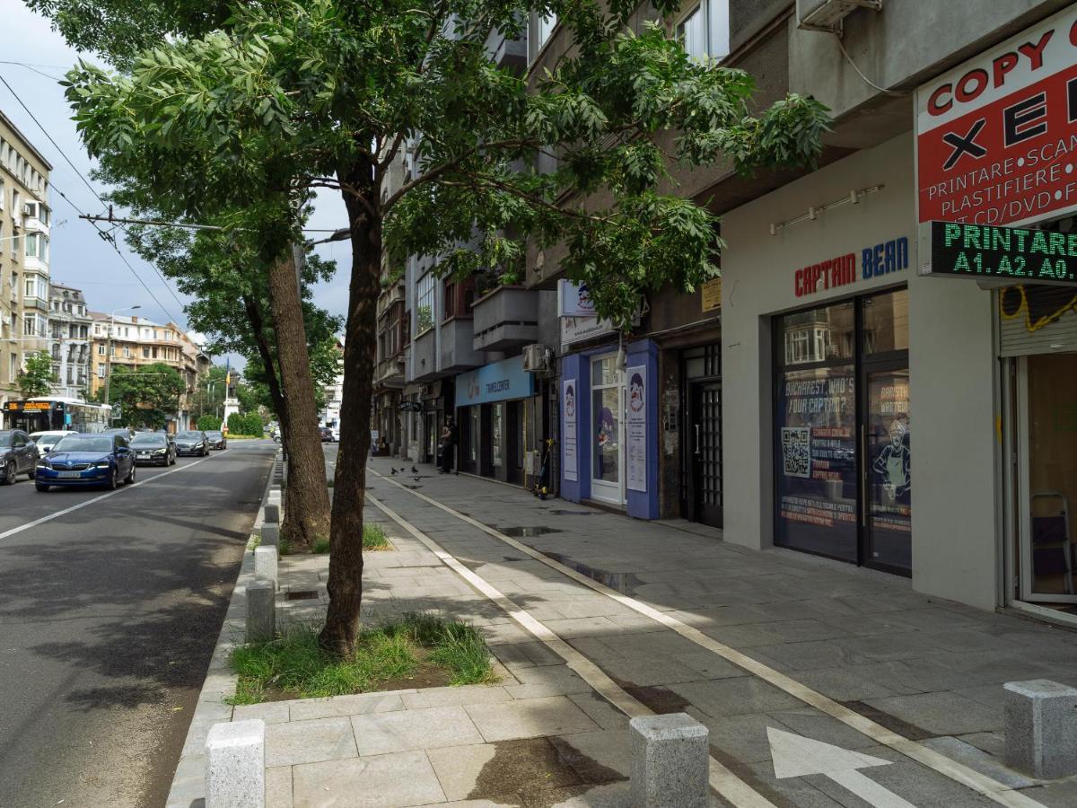 Beautiful Modern Studio - Cismigiu Park - Netflix Bucarest Esterno foto